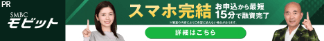 モビット公式サイト